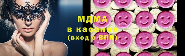 мдпв Вяземский