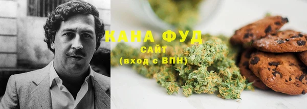 мдпв Вяземский