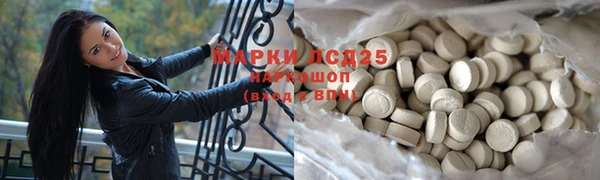 мдпв Вяземский