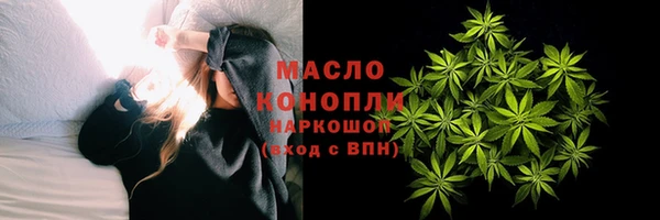 мдпв Вяземский