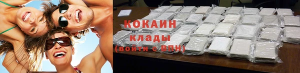 мдпв Вяземский