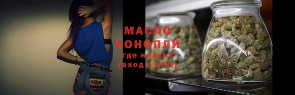 мдпв Вяземский