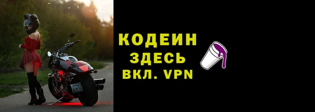 мдпв Вяземский