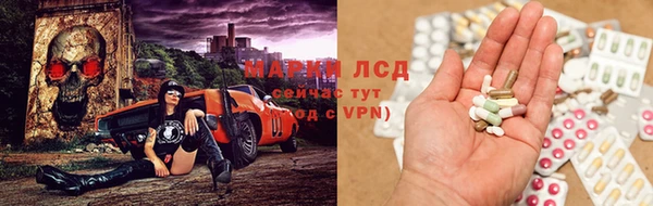 мдпв Вяземский