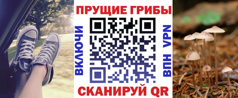 сайты даркнета состав  Любим  Галлюциногенные грибы Cubensis 